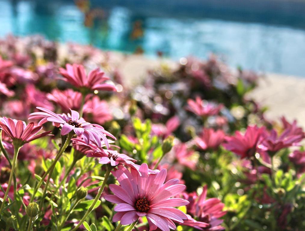 Villa Paradise Paphos Camera foto